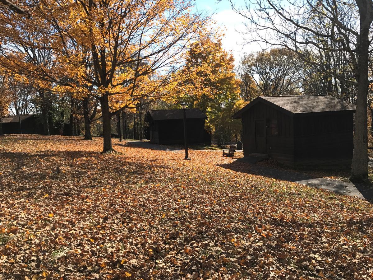 Giant City Lodge Makanda 外观 照片
